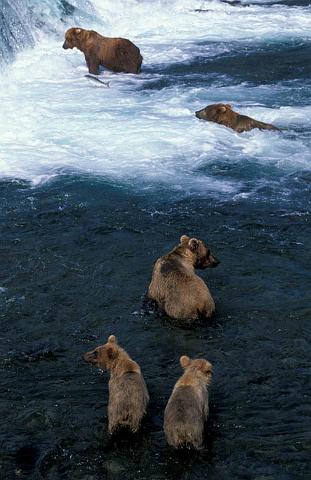 AK_074_200507_PRN.jpg