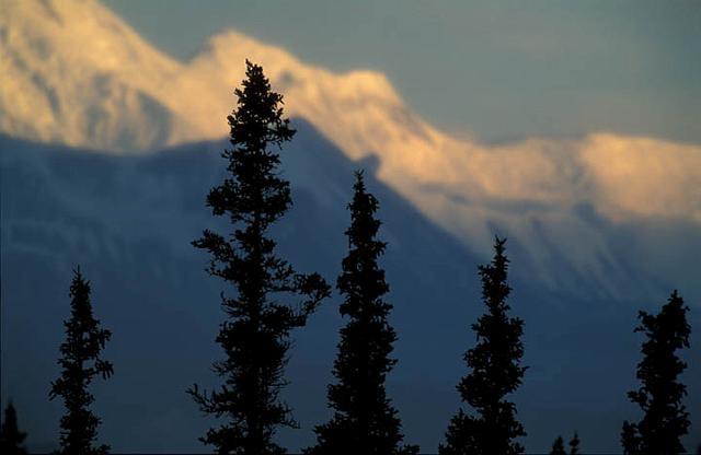 AK_142_200507_PRN.jpg