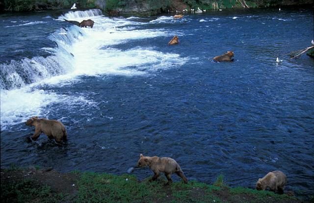 AK_151_200507_PRN.jpg