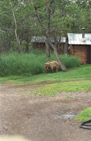 AK_187_200507_PRN.jpg