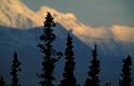 AK_142_200507_PRN