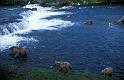AK_151_200507_PRN