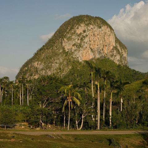 CF053958.jpg