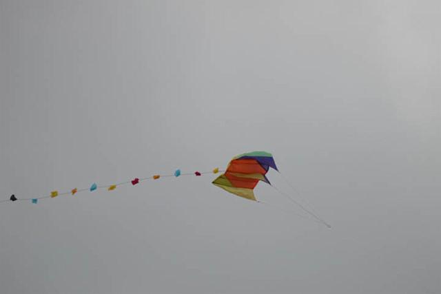 L2590187.jpg